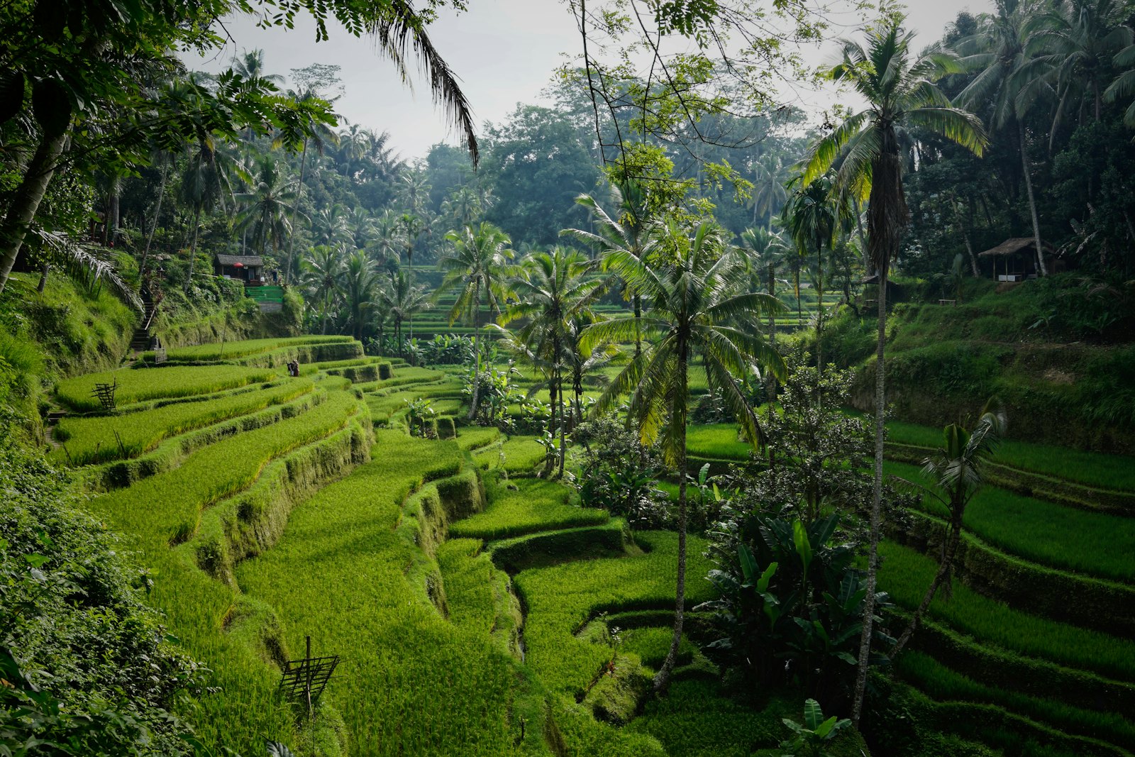Bali Honeymoon Escape